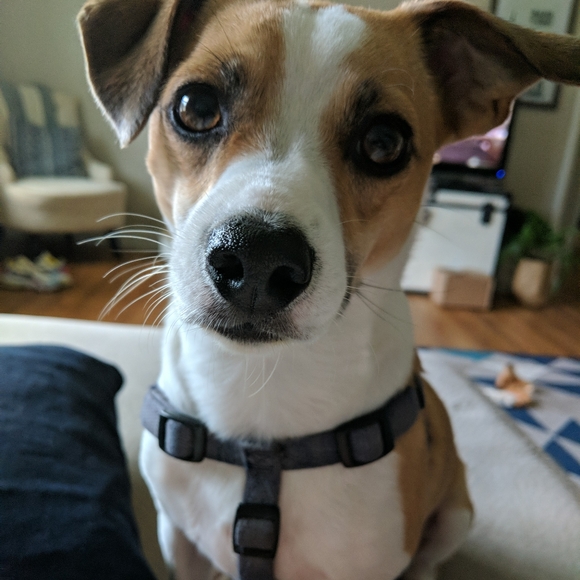 Meet your Posher, Erin - Picture 1 of 1